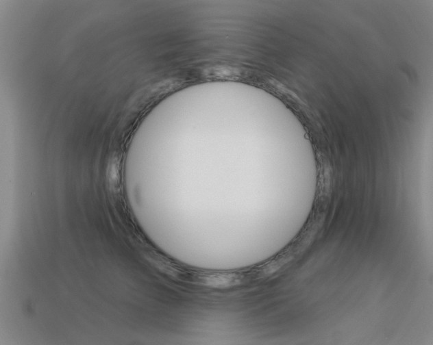 X0000113340709200909151006