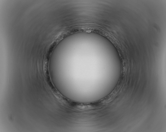 X0000113340712200909151006
