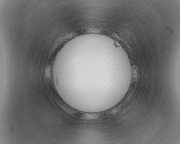 X0000113340713200909151006