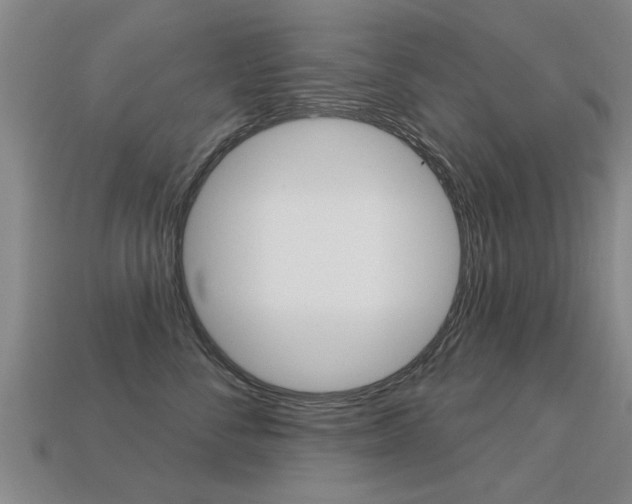 X0000113340716200909151006