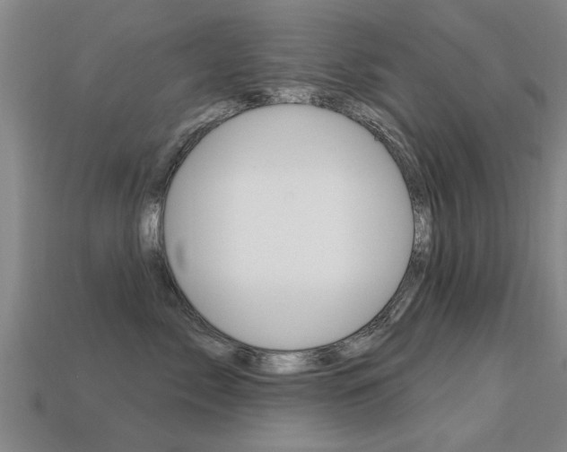 X0000113340717200909151006
