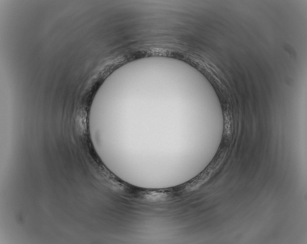 X0000113340718200909151006