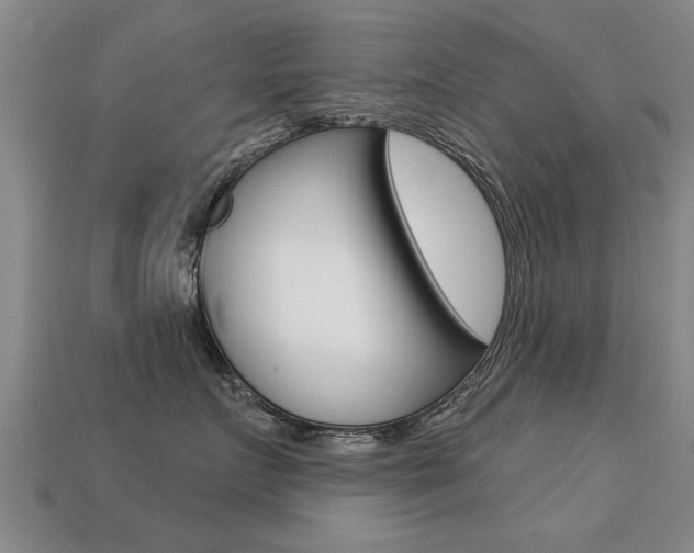 X0000113340719200909151006