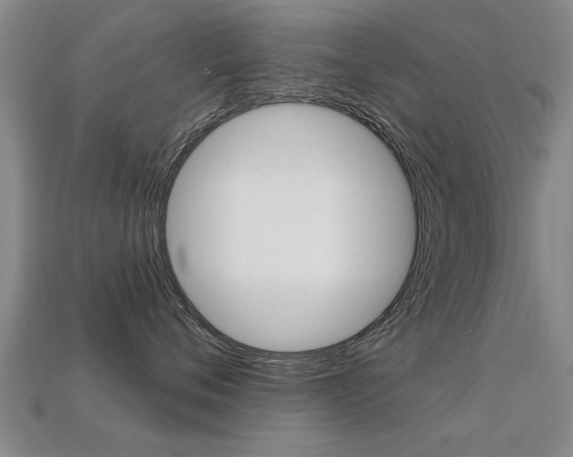 X0000113340720200909151005