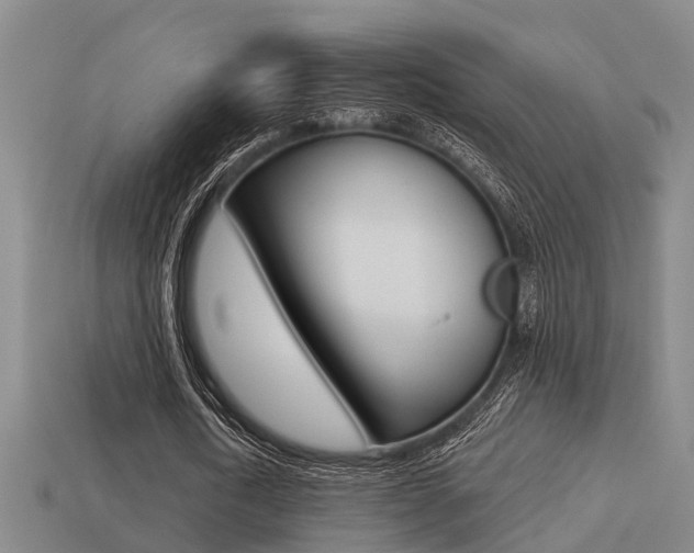 X0000113340722200909151005