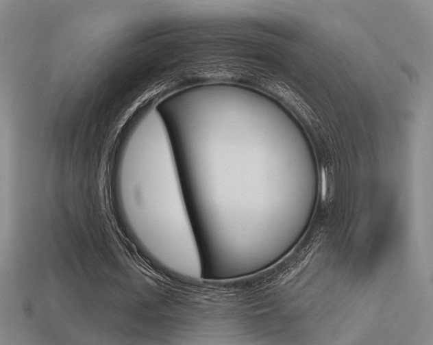 X0000113340723200909151005