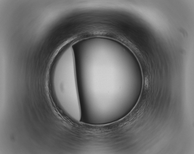 X0000113340724200909151005