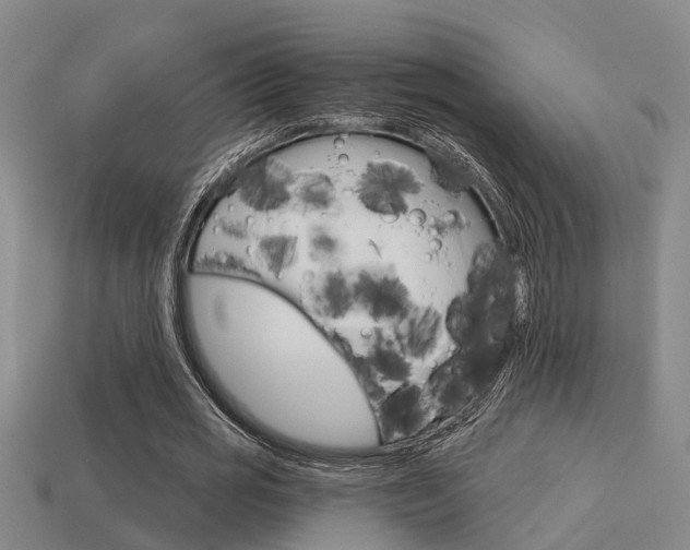 X0000113340725200909151005