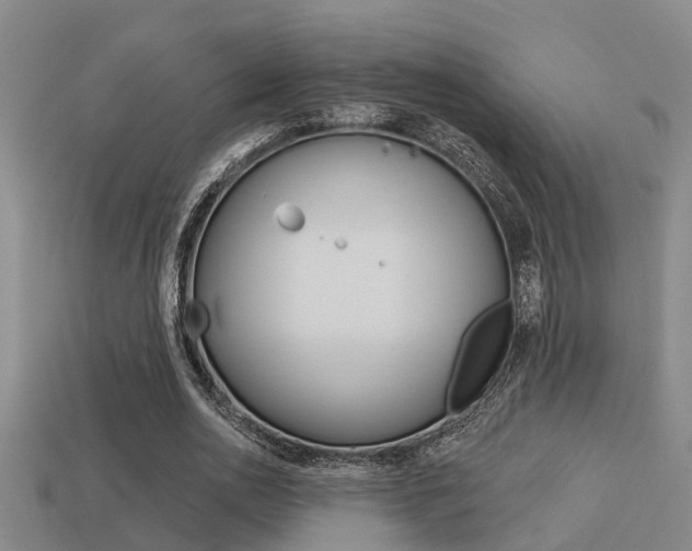 X0000113340726200909151005
