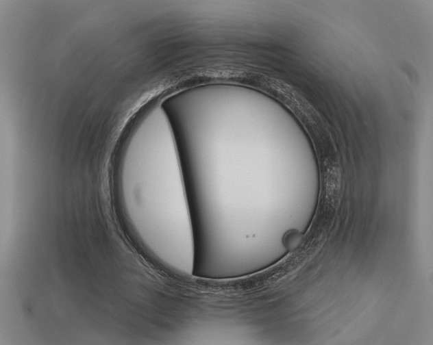 X0000113340727200909151005