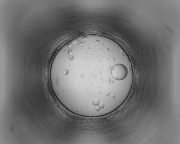 X0000113340729200909151005