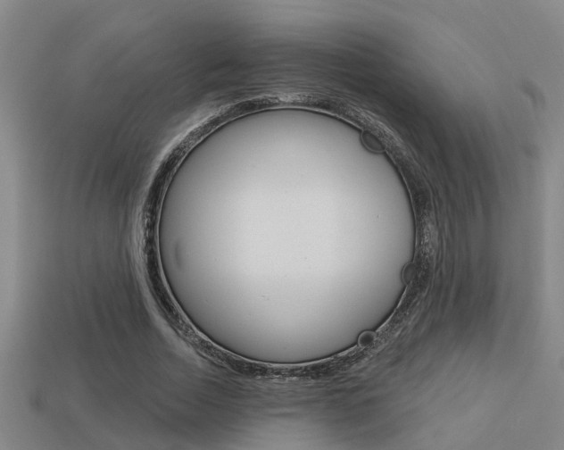 X0000113340730200909151005