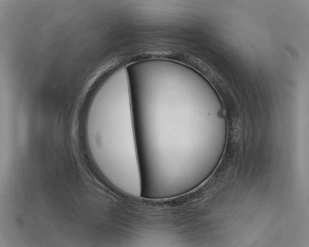 X0000113340731200909151005
