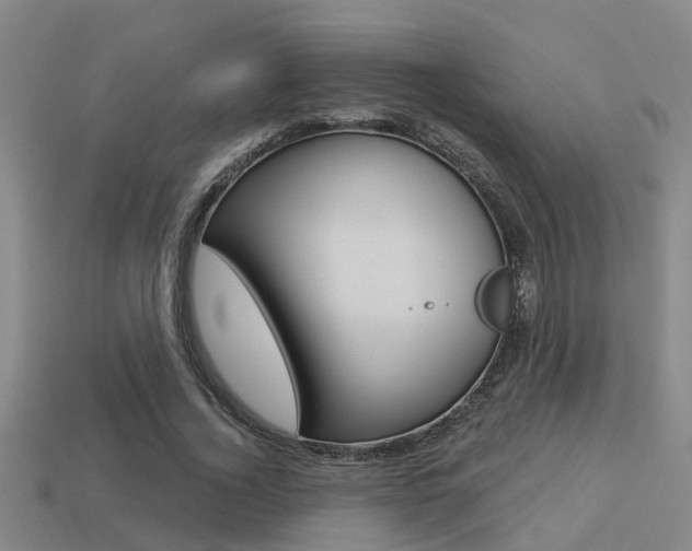 X0000113340732200909151005