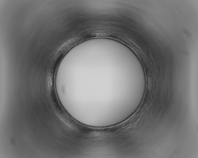 X0000113340733200909151005