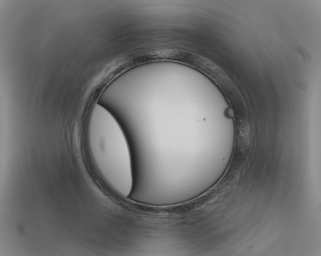 X0000113340734200909151005