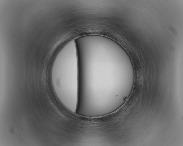 X0000113340735200909151005