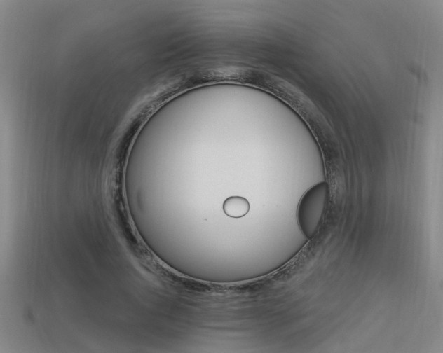 X0000113340736200909151005