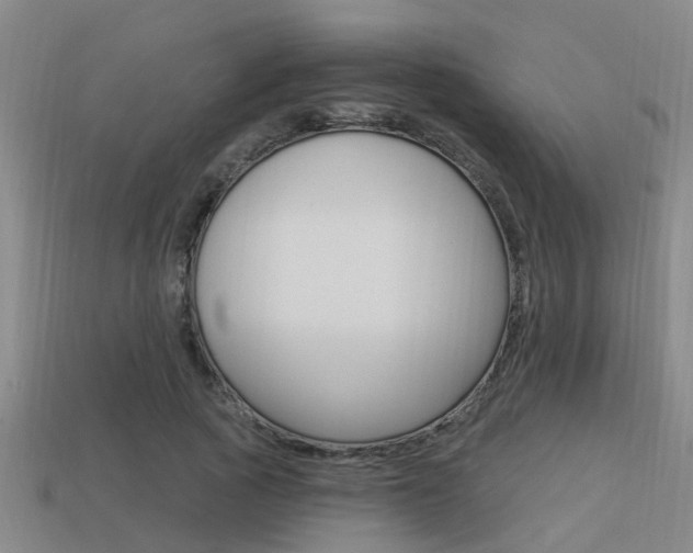 X0000113340737200909151005