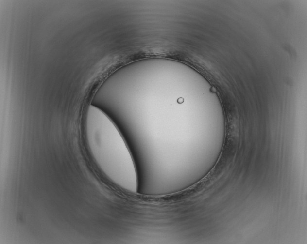 X0000113340738200909151005
