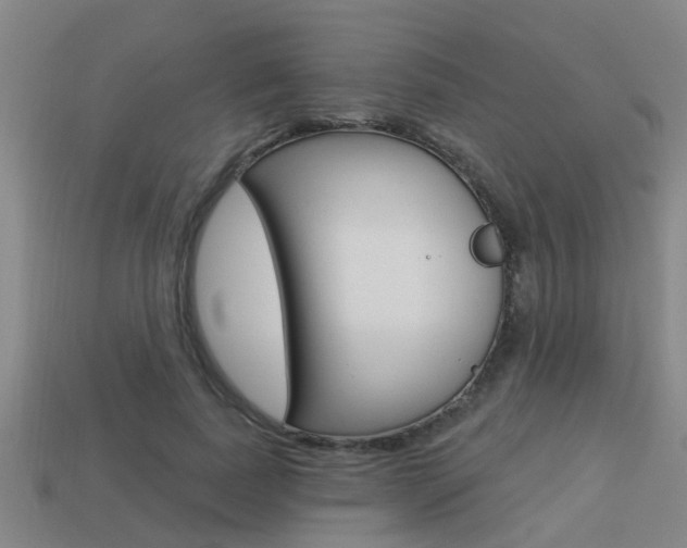 X0000113340739200909151005