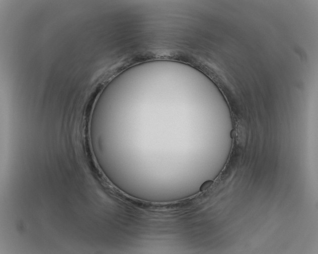X0000113340740200909151005