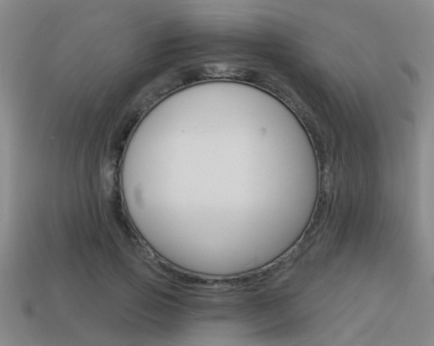 X0000113340741200909151005