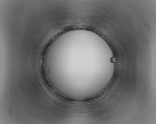 X0000113340742200909151005