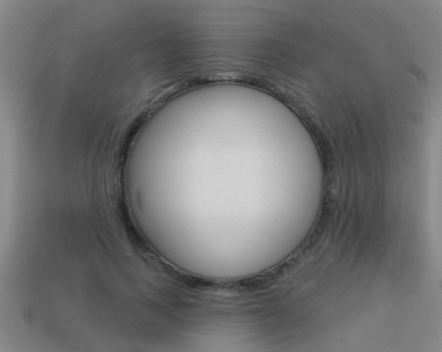 X0000113340743200909151005