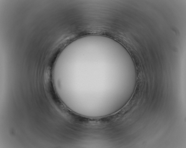 X0000113340744200909151005
