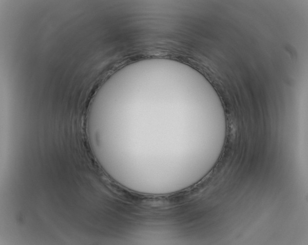 X0000113340745200909151005