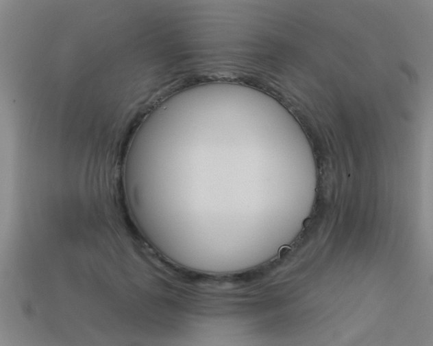 X0000113340747200909151005