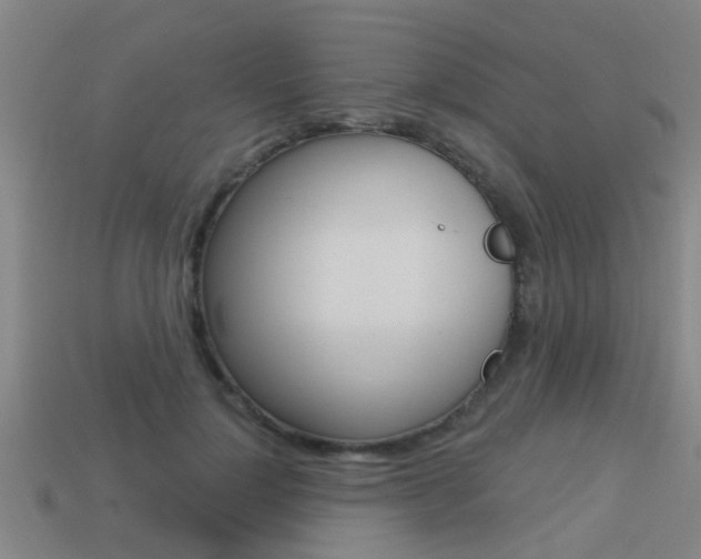 X0000113340748200909151005