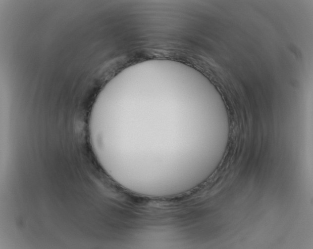 X0000113340749200909151005