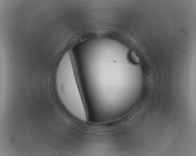X0000113340750200909151005