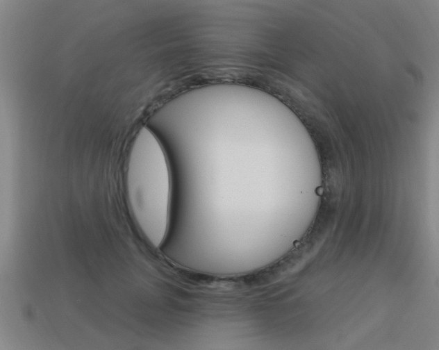 X0000113340751200909151005