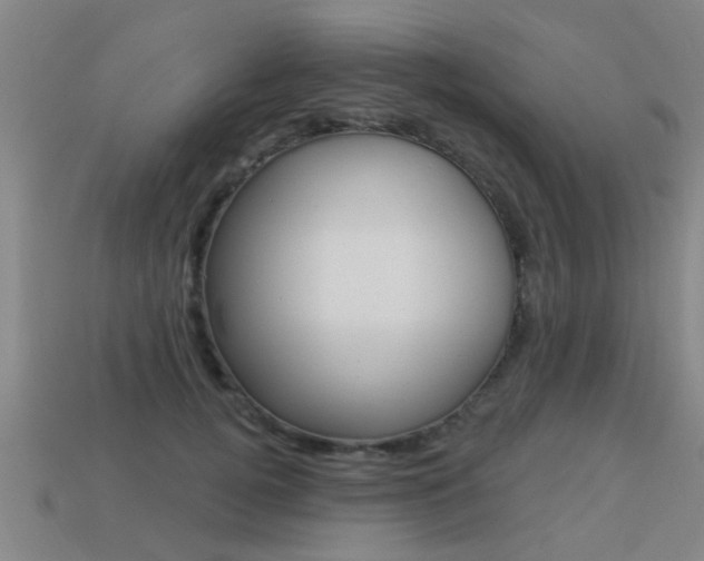 X0000113340752200909151005