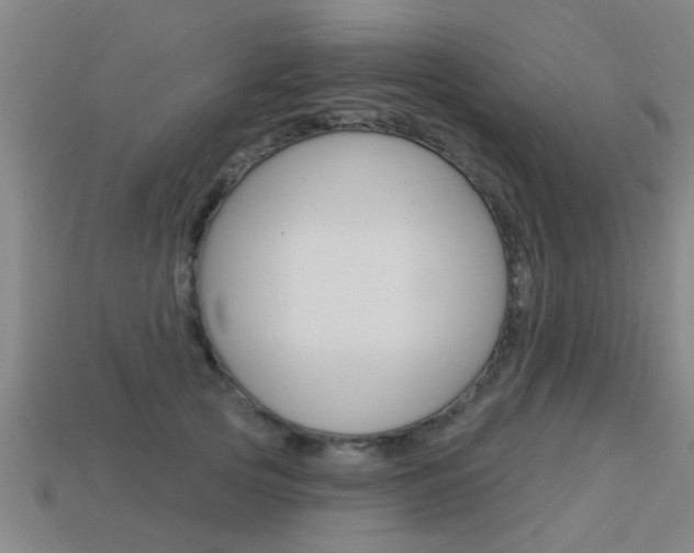 X0000113340753200909151005
