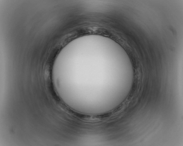 X0000113340754200909151005