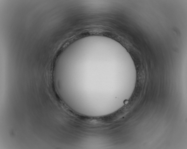 X0000113340755200909151005