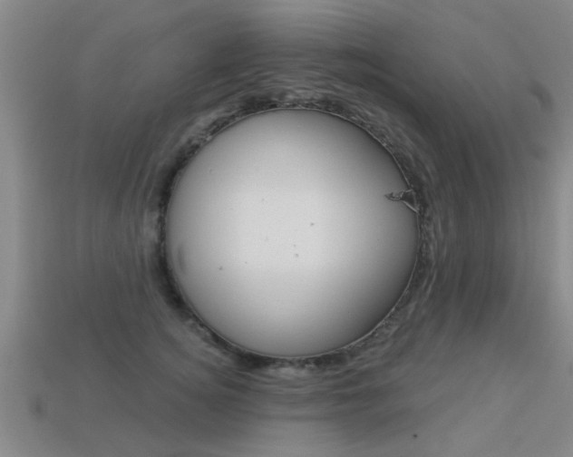 X0000113340756200909151005