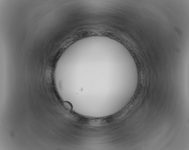 X0000113340757200909151005