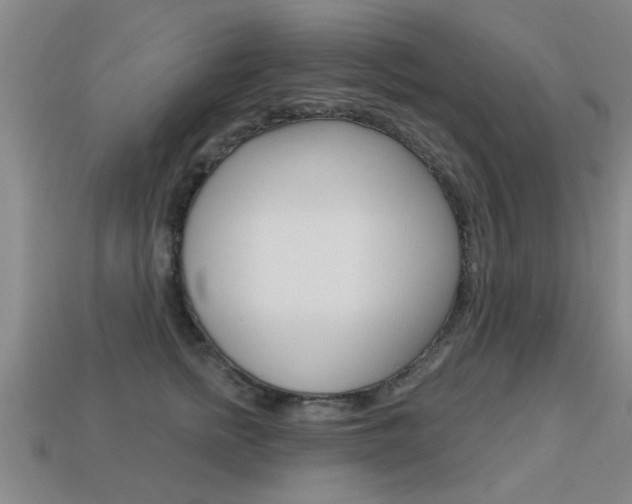 X0000113340758200909151005
