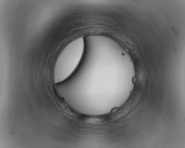 X0000113340759200909151005