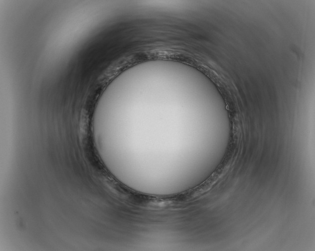 X0000113340760200909151005
