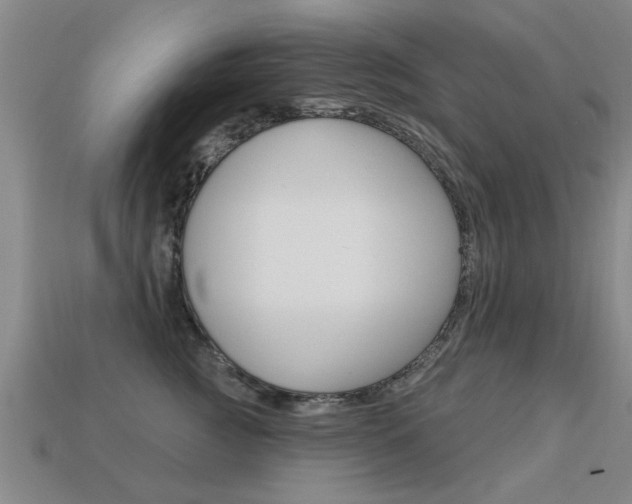 X0000113340761200909151005