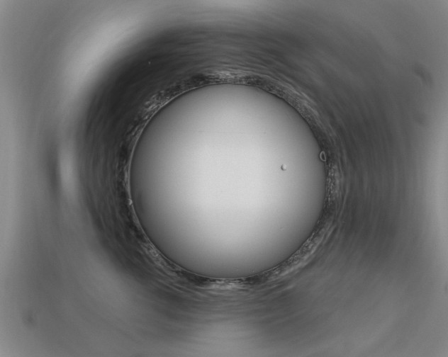 X0000113340762200909151005