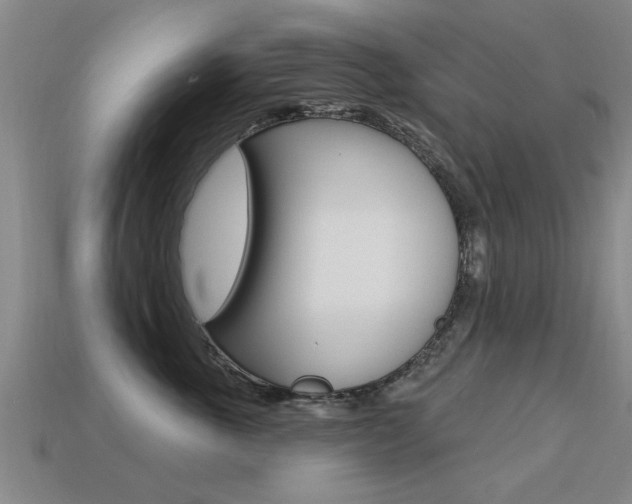 X0000113340763200909151005