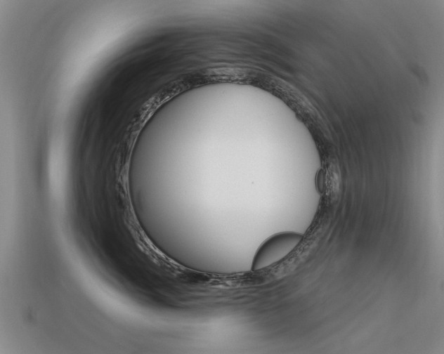 X0000113340764200909151005