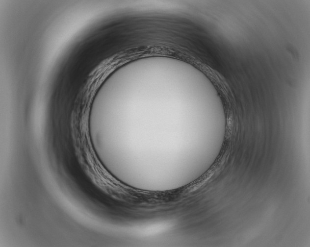 X0000113340765200909151005